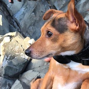 Meet your Posher, Jo